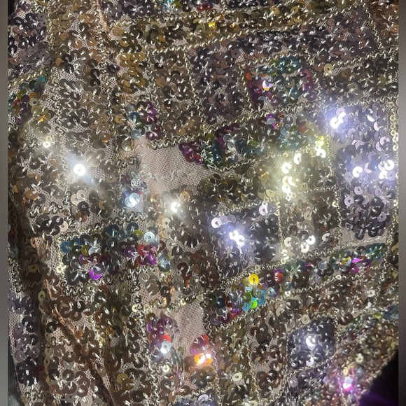 Dress The Population Sequin Giovanna Gown size small - Picture 6 of 6